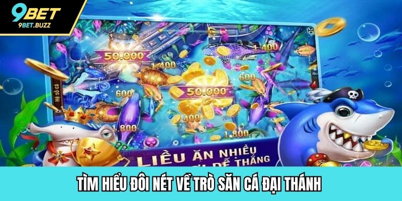 Tìm hiểu đôi nét về trò săn cá đại thánh